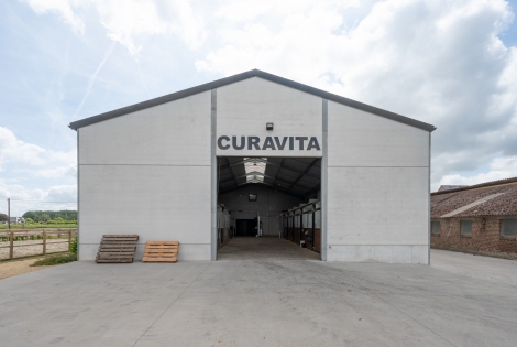 Curavita